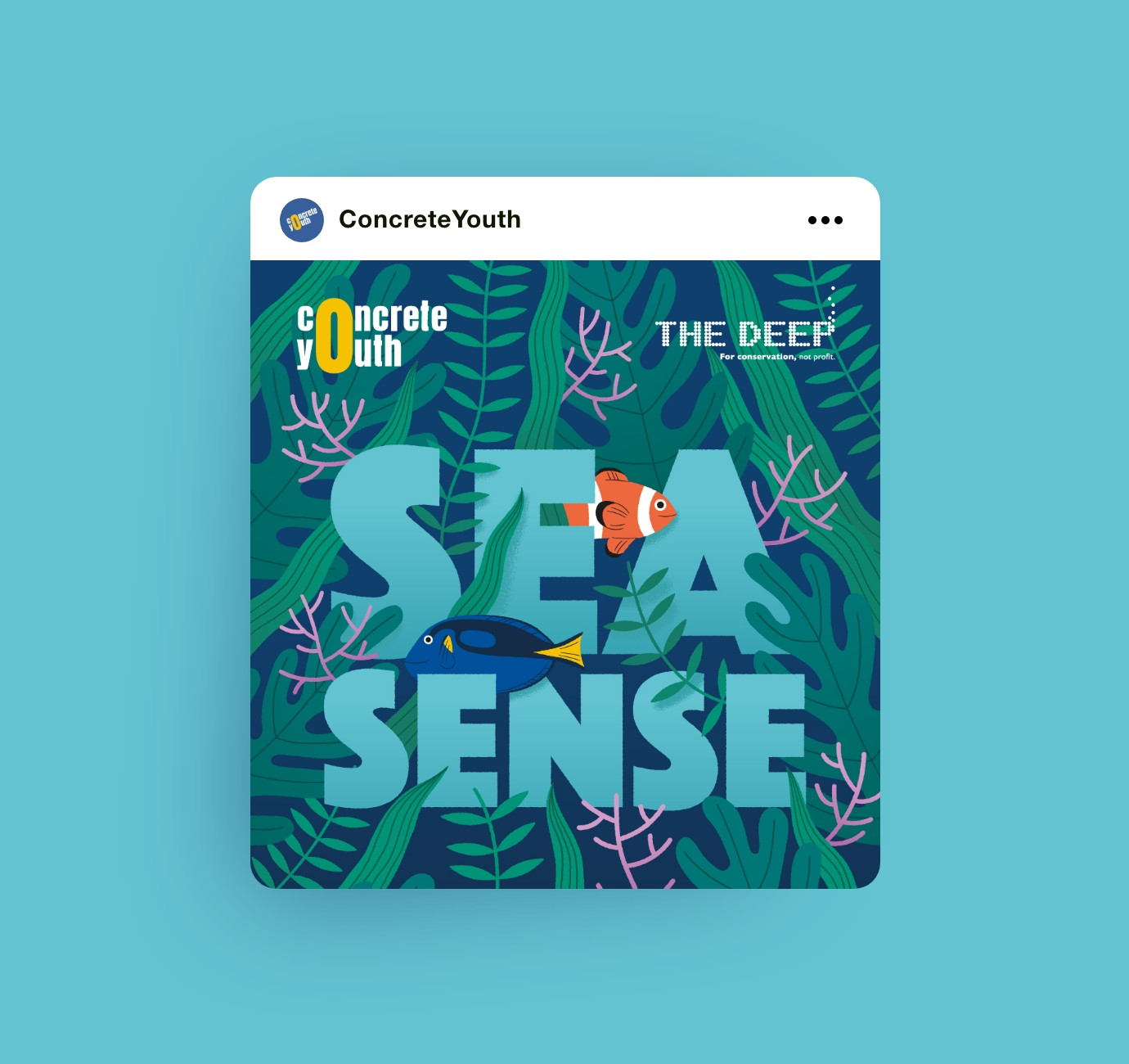 Concrete Youth charity Sea Sense social media design by Root Studio