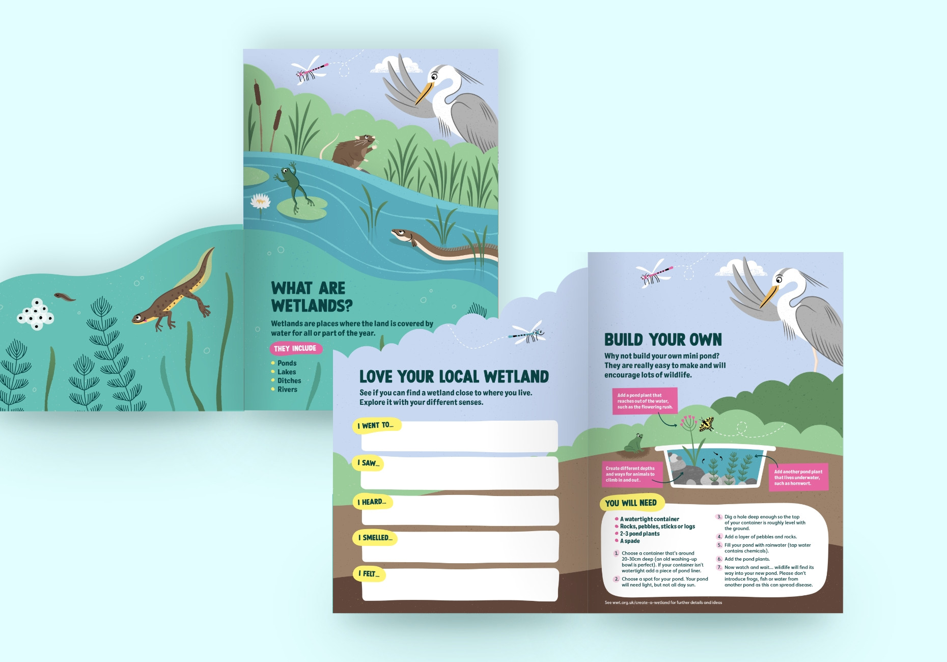 Wetlands wildlife activity sheet for kids