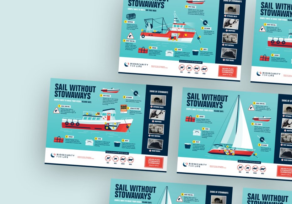 Boat yacht sailing infographic design by Root Studio