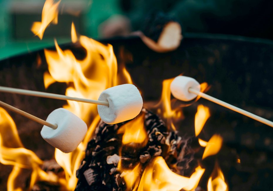 Campfire with roasting marshmallows on sticks