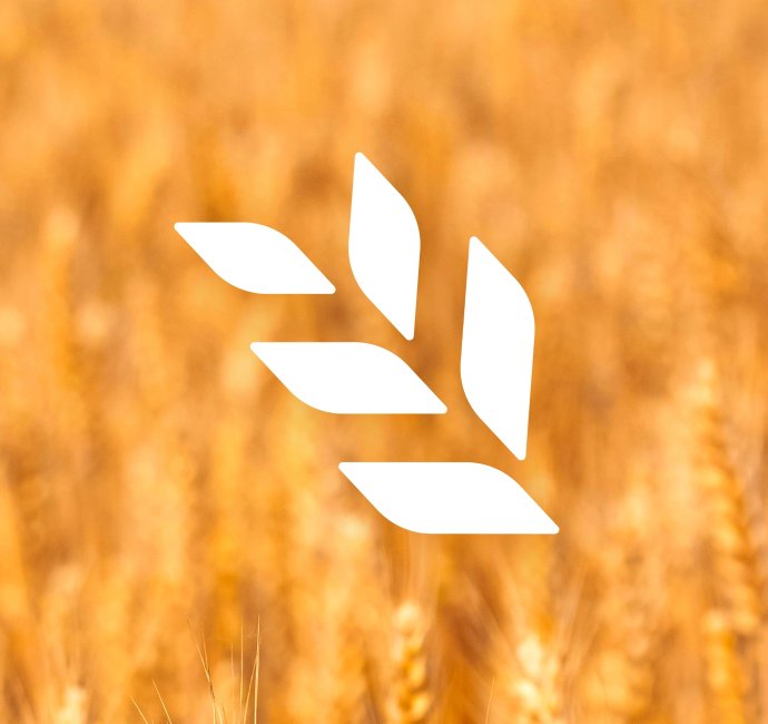 Newark & Notts Agricultural Society logo & branding design by Root Studio