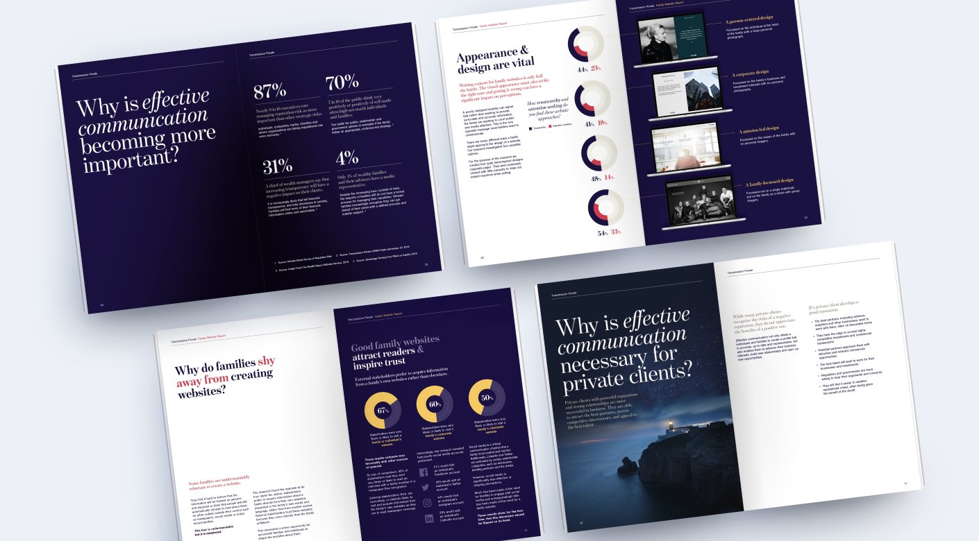 Report brochure design by Root Studio