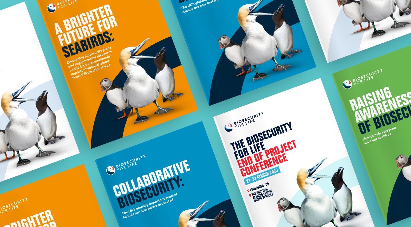 RSPB Charity conference brochure design by Root Studio