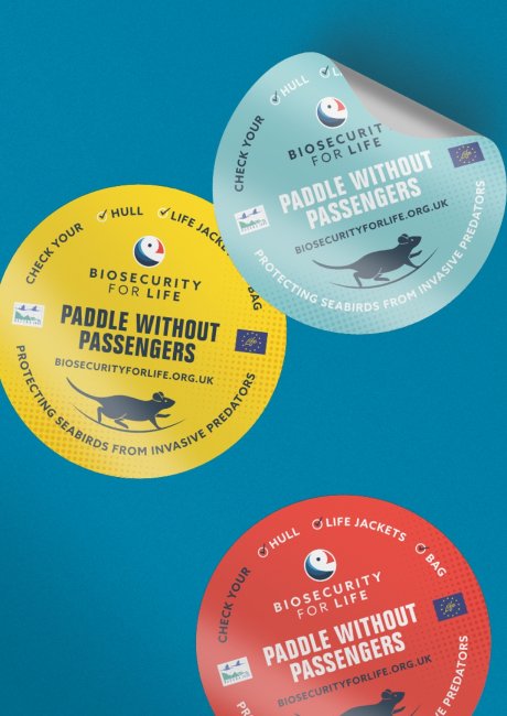 Rat Canoe Kayak sticker design for RSPB by Root Studio