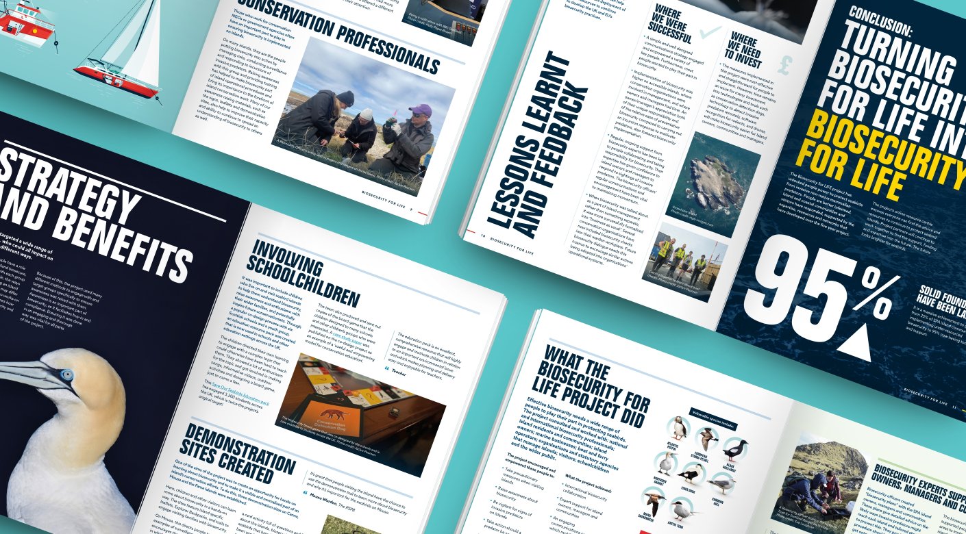RSPB Charity conference brochure design by Root Studio