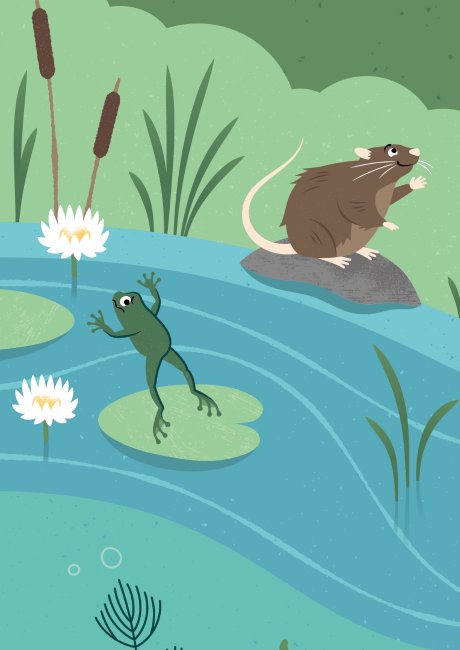 WWT charity wetlands habitat illustration