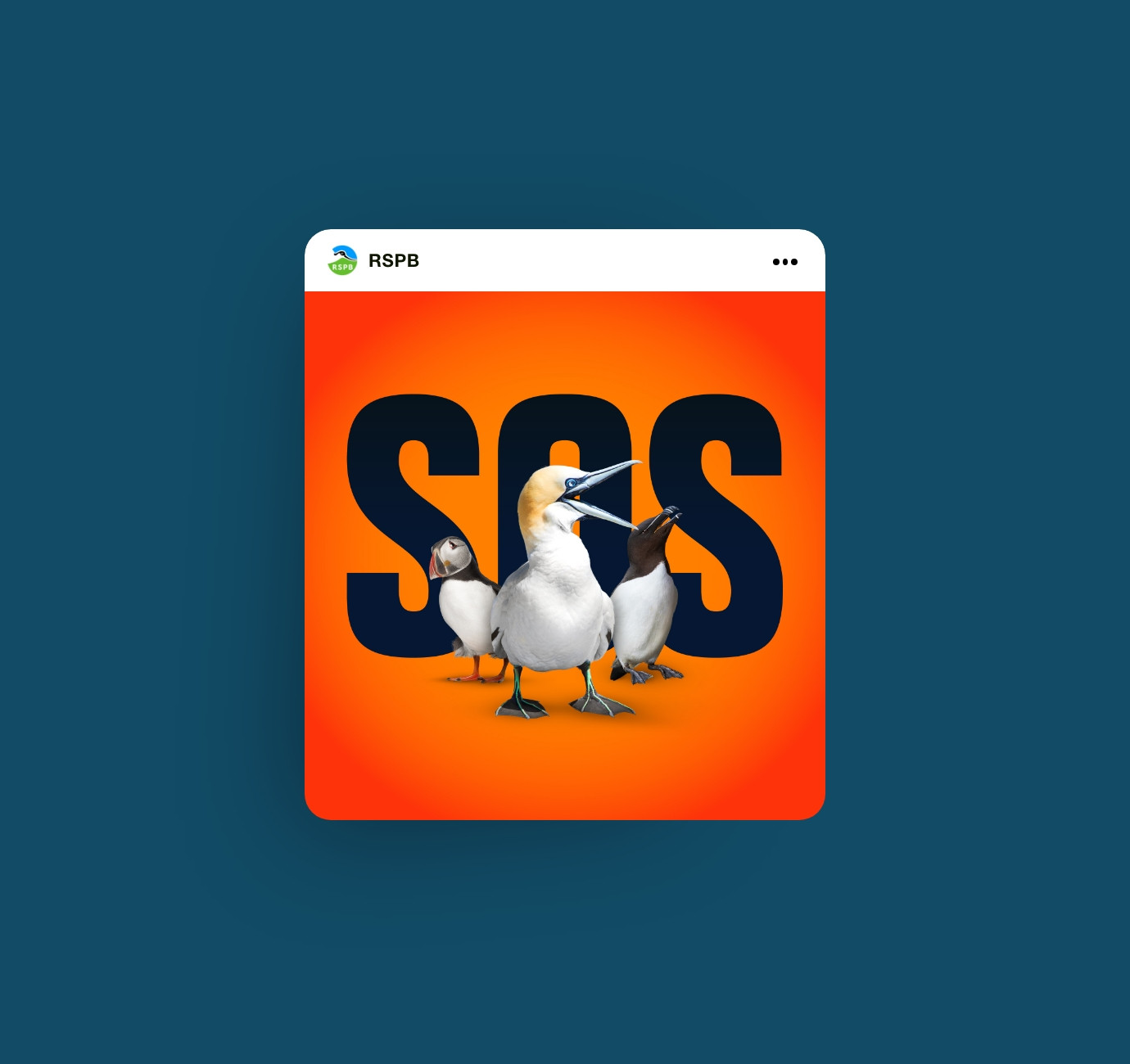 RSPB SOS Biosecurity for LIFE seabird campaign design by Root Studio