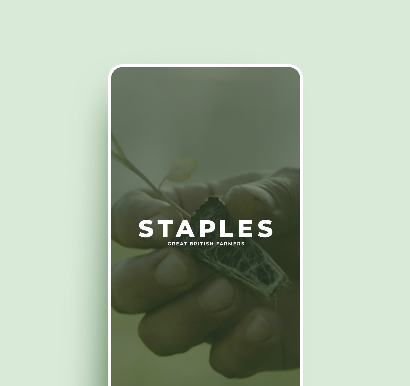 Staples Vegetables farm website design by Root Studio