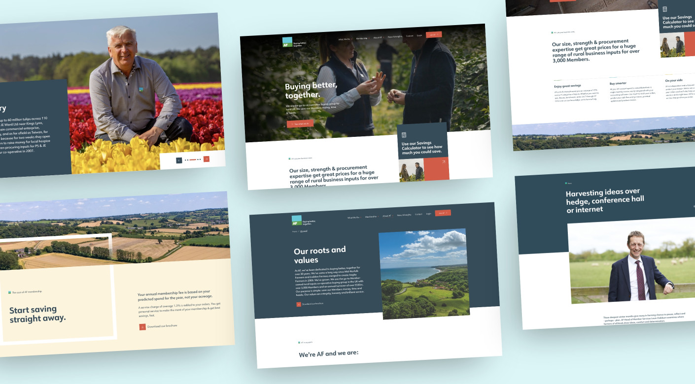 AF Group, member organisation website design by Root Studio