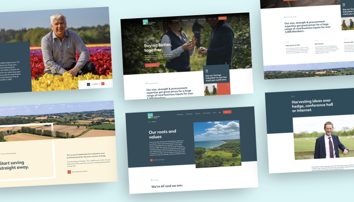 AF Group, member organisation website design by Root Studio