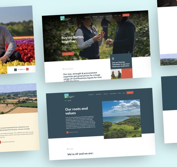 AF Group, member organisation website design by Root Studio