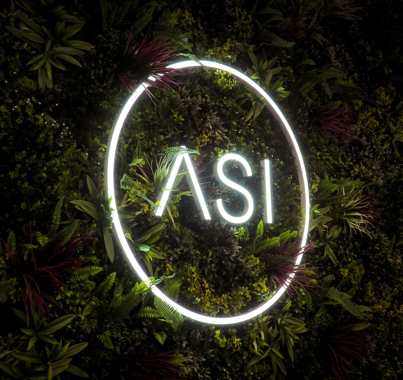 ASI neon lettering on a green wall signage design