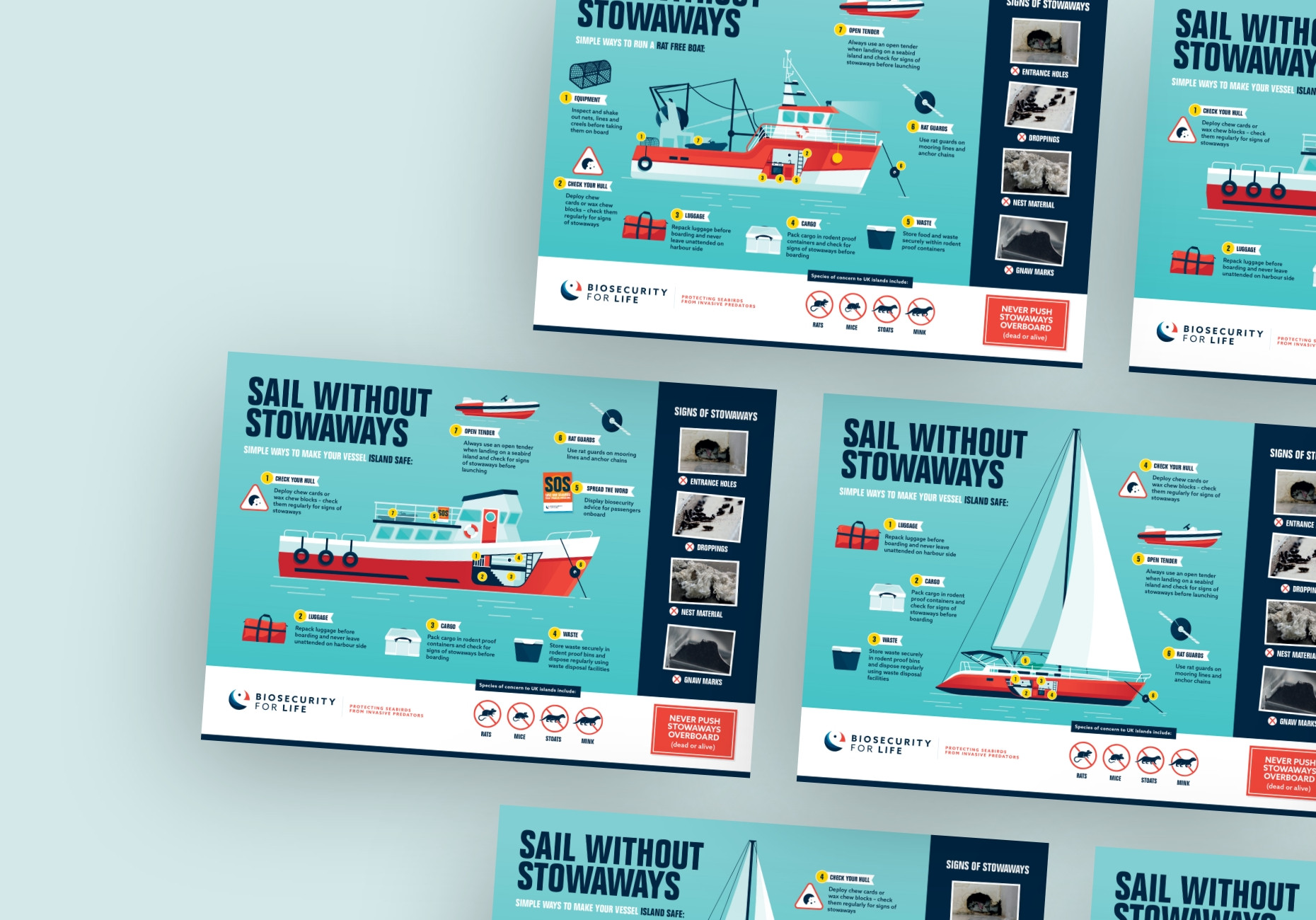 Boat yacht sailing infographic design by Root Studio