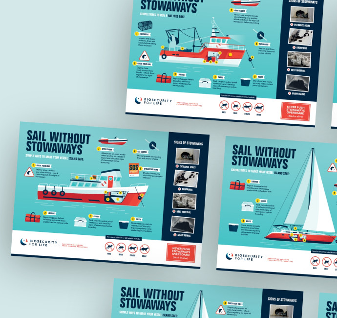 Boat yacht sailing infographic design by Root Studio