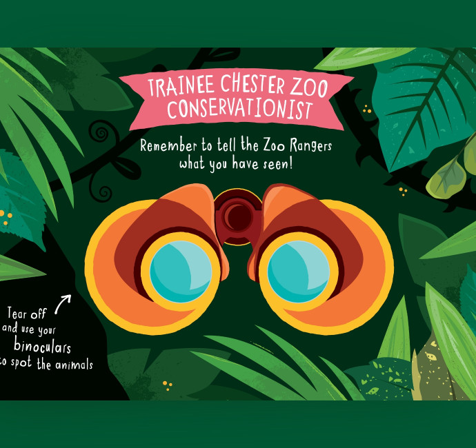 Chester Zoo childrens binocular flyer design by Root Studio
