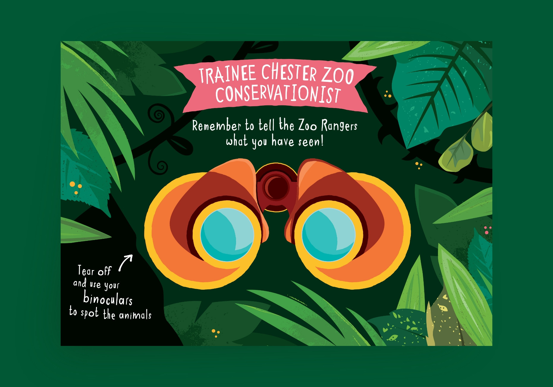 Chester Zoo childrens binocular flyer design by Root Studio