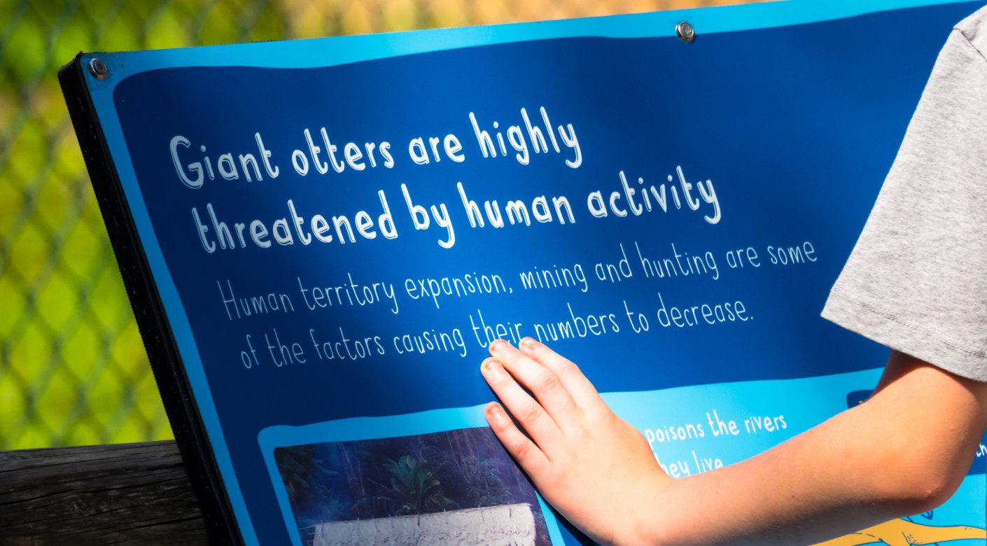 Chester Zoo Giant Otter enclosure interpretation design by Root Studio