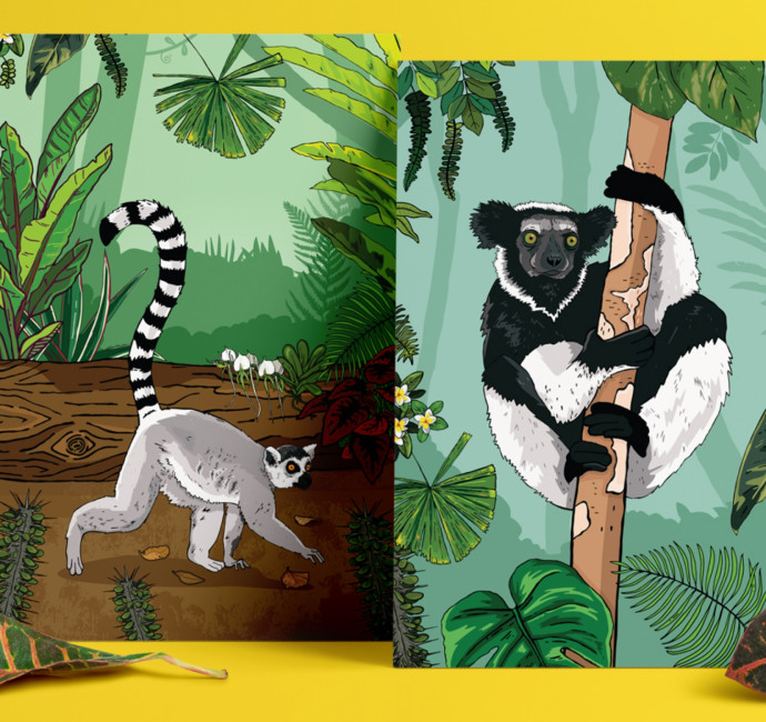 Chester Zoo illustrated lemur designs by Root Studio