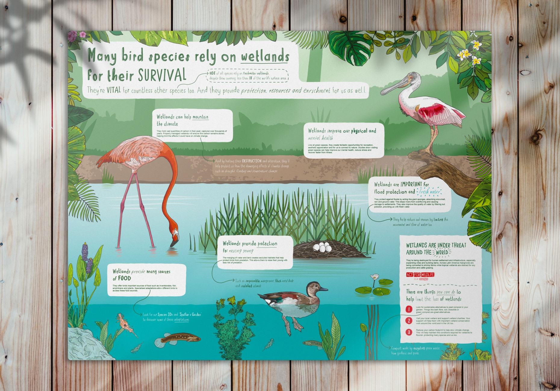 Chester Zoo illustrated wetland flamingo design by Root Studio