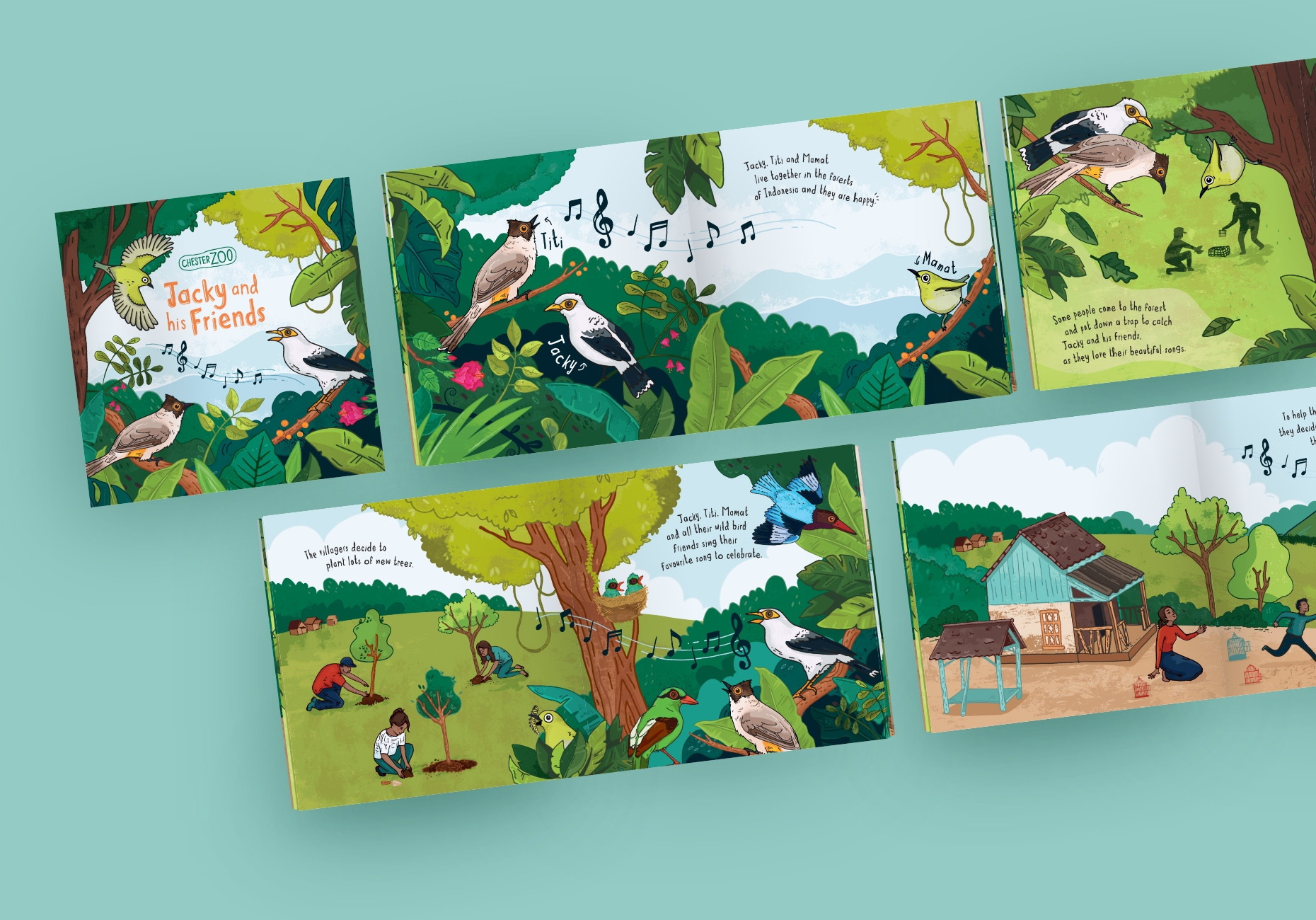 Chester Zoo save our songbirds illustrated childrens book design by Root Studio