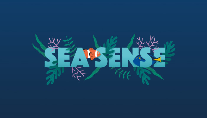 Concrete Youth charity Sea Sense branding design by Root Studio