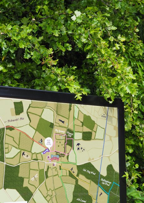 Doddington Hall illustrated walking route map