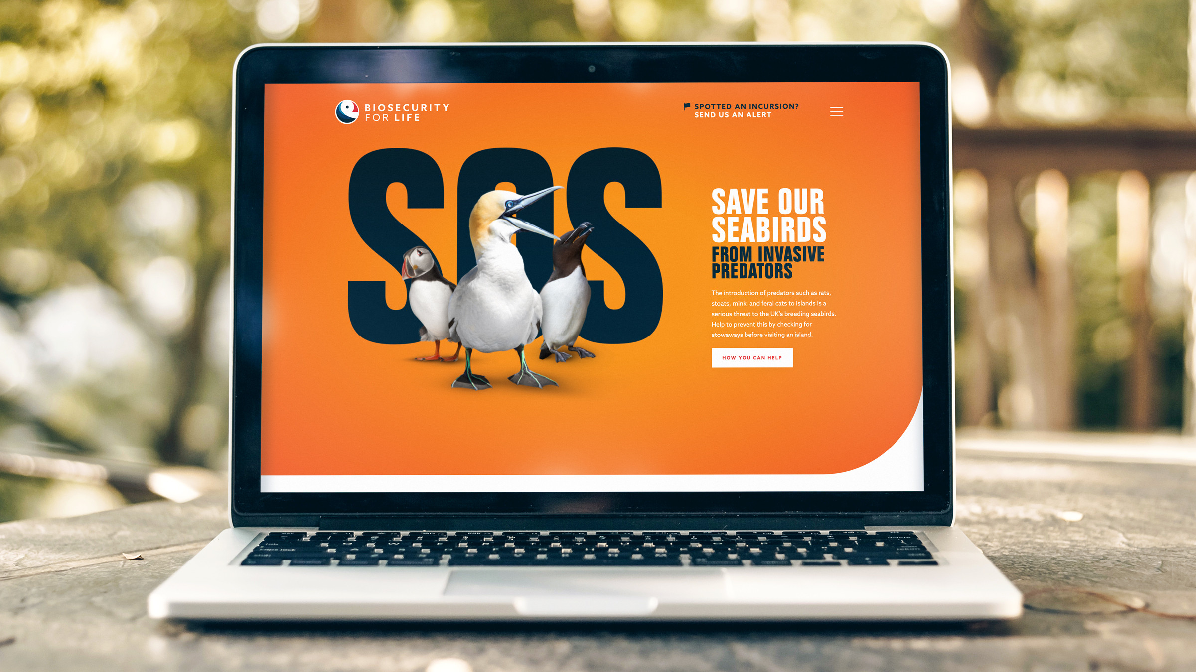 RSPB Biosecurity for LIFE website design by Root Studio