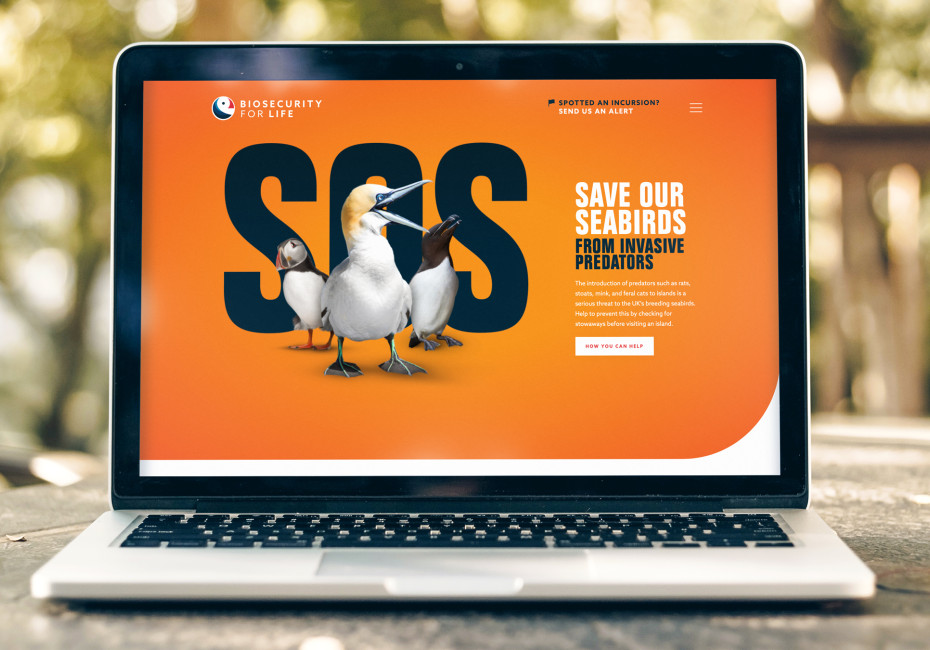 RSPB Biosecurity for LIFE website design by Root Studio