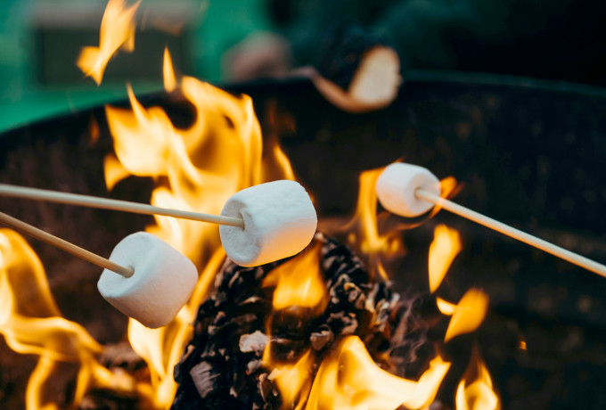Campfire with roasting marshmallows on sticks