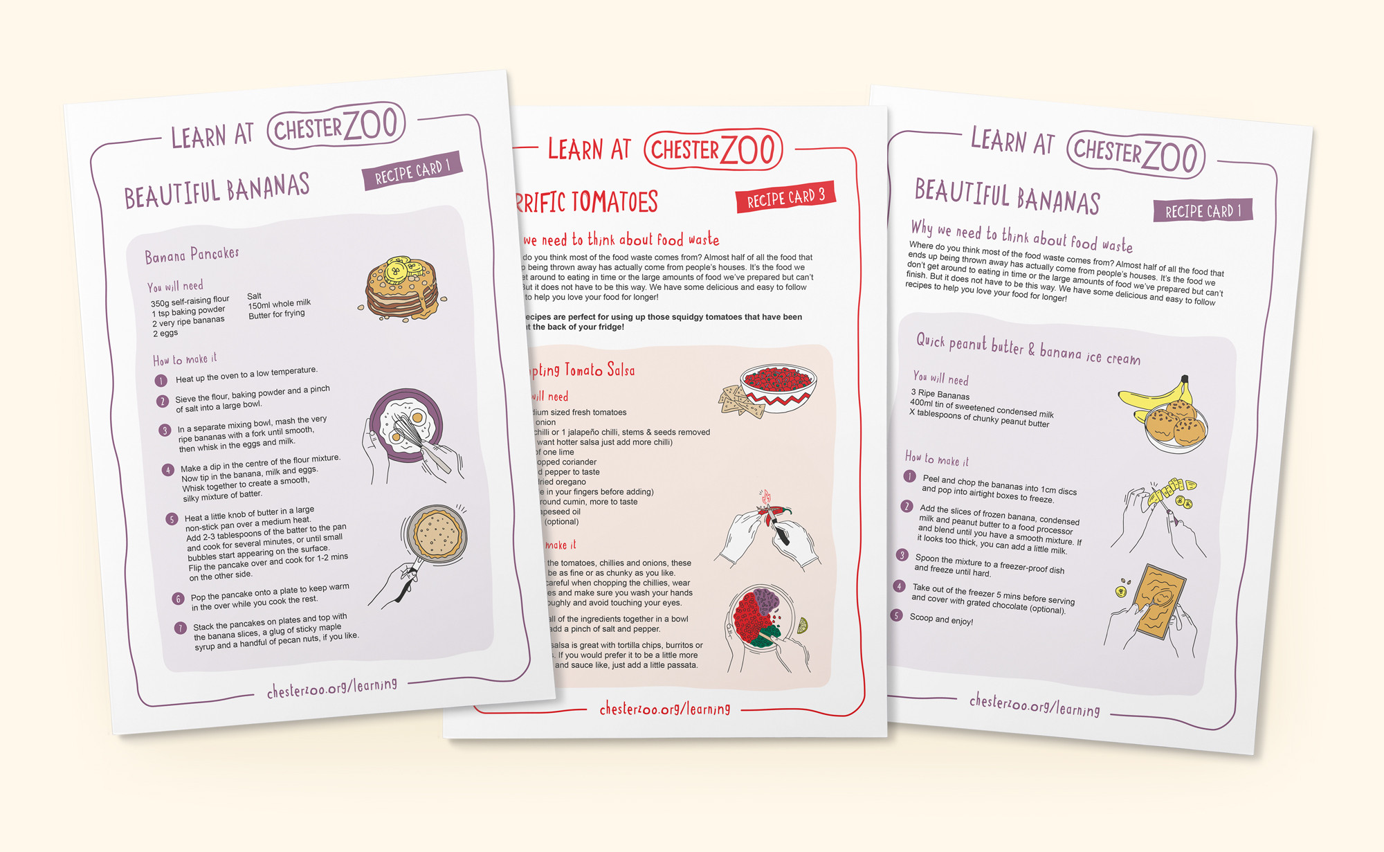Chester zoo illustrated recipe card design by root studio 2