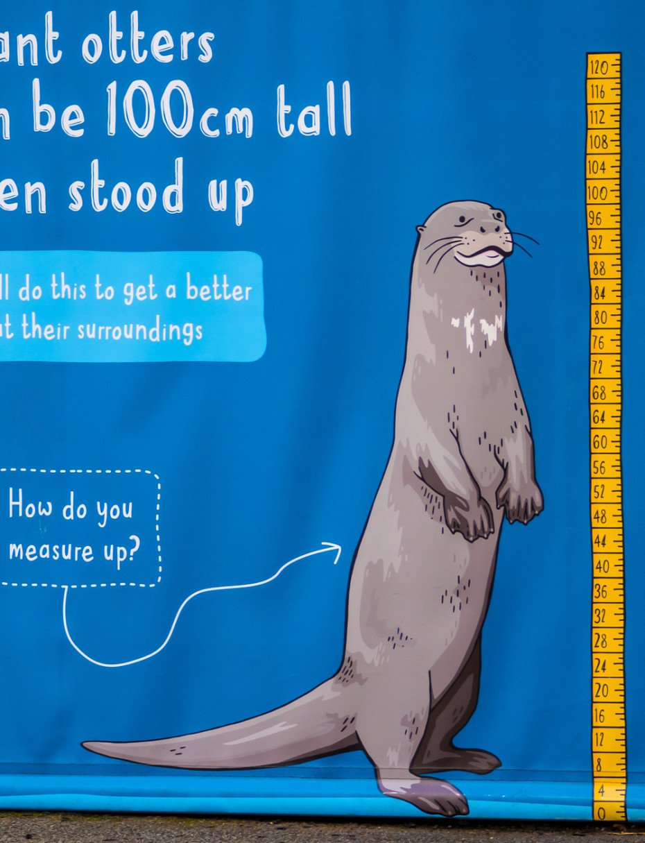 Chester Zoo interactive display for visitors by Root Studio