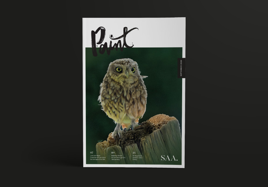 Paint Magazine Design by Root Studio