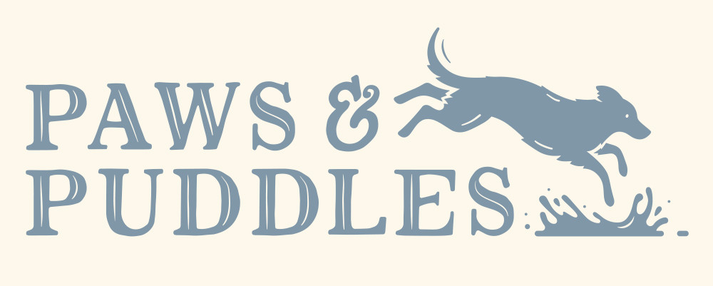 Paws and puddles dog walking logo by root studio lincoln 3