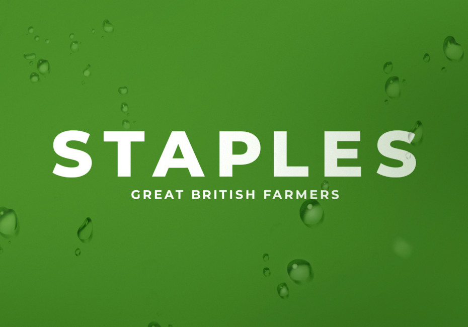 Staples design 2025