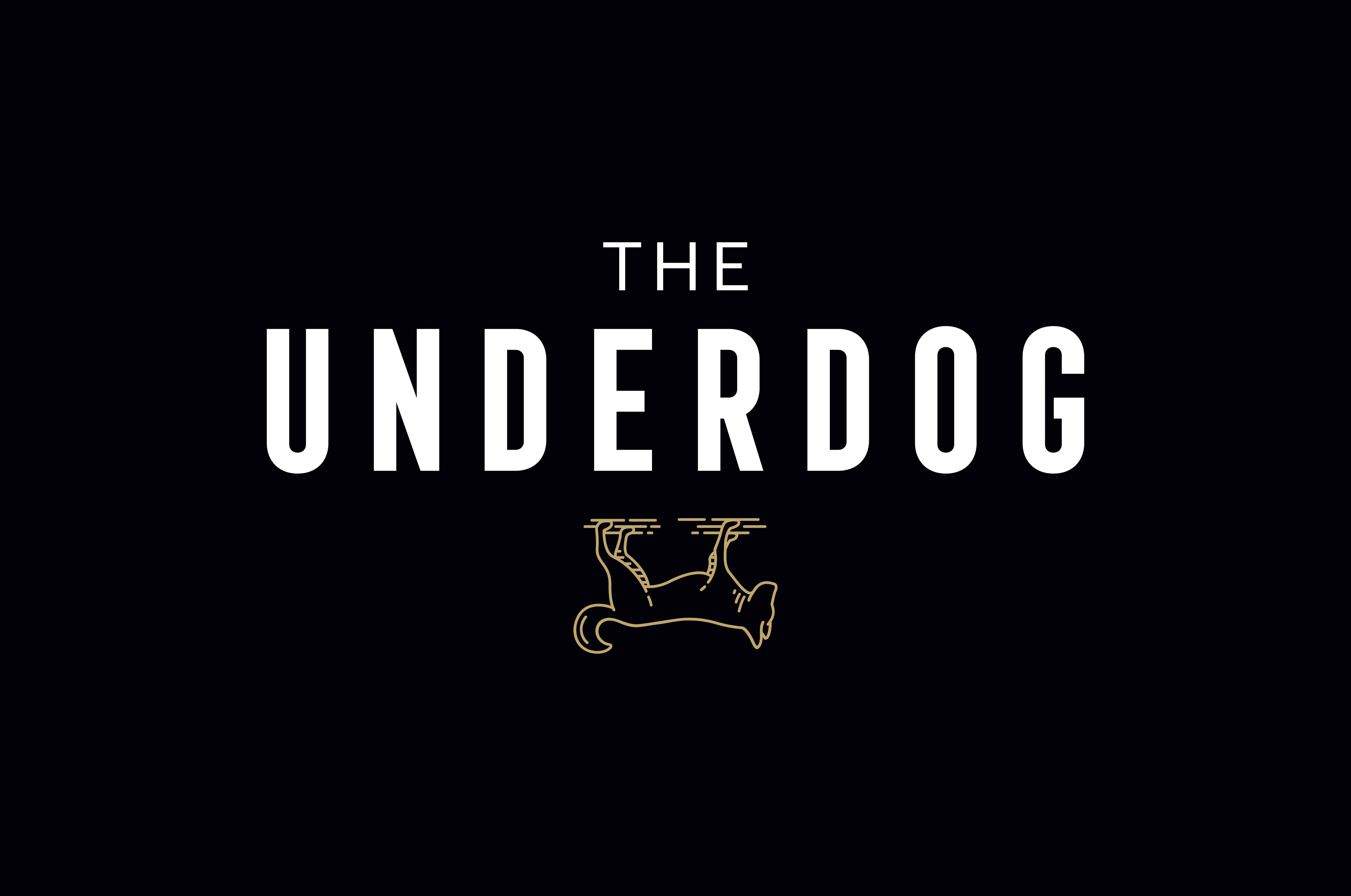 Underdog Wine & Ale Bar Logo Design