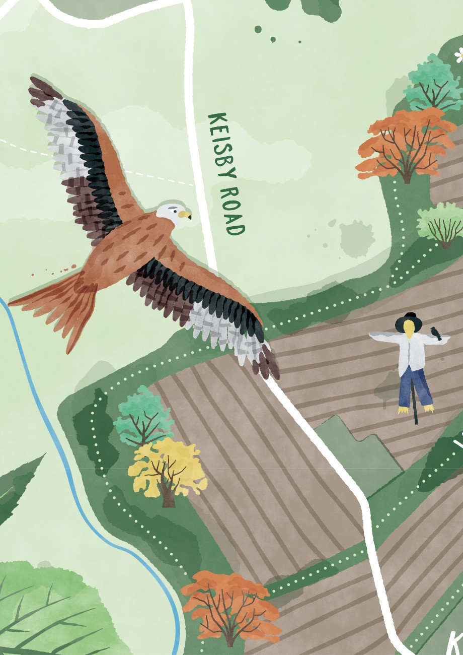 farm hawk illustration