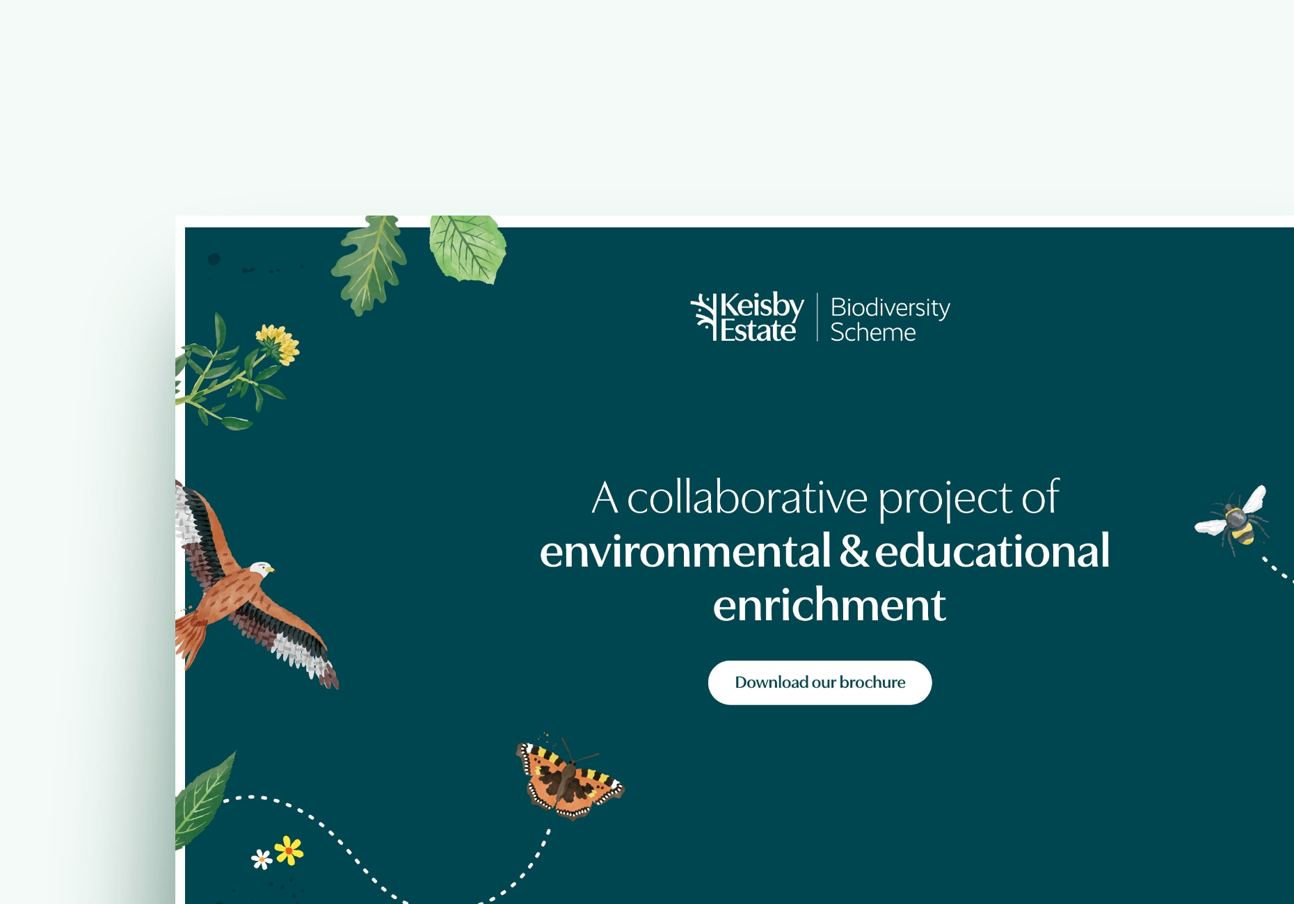 Keisby Estate Biodiversity nature website design by Root Studio