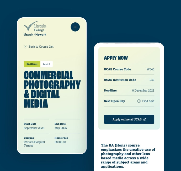 Website design agency example