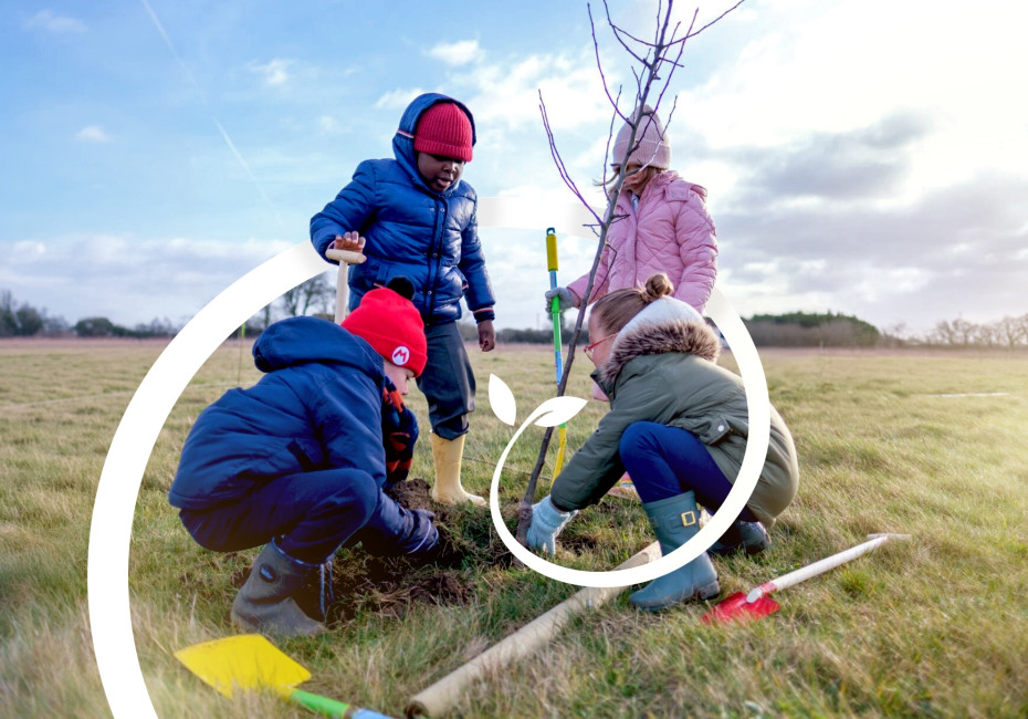 LincWoods tree planting project branding