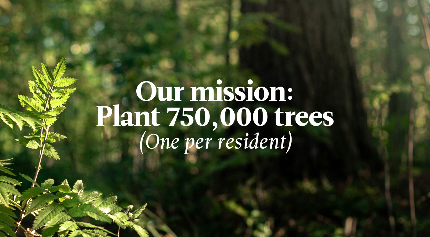 LincWoods tree planting mission statement