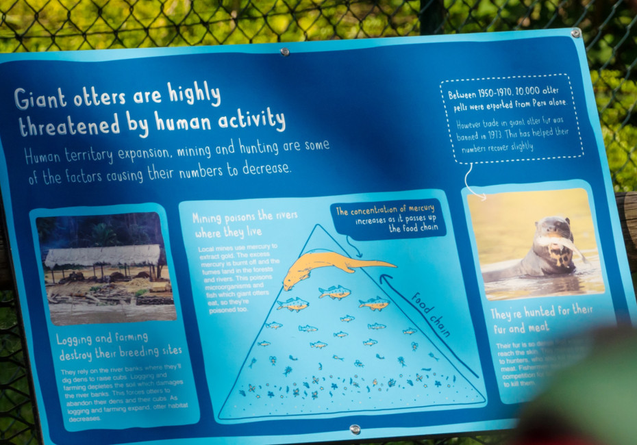 Zoo interpretation panel design