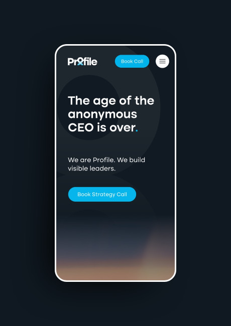 Profile website design