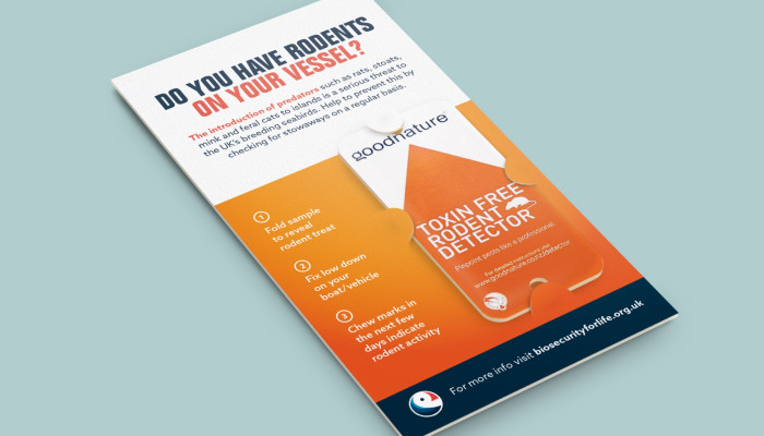 Rodent detector flyer design by Root Studio