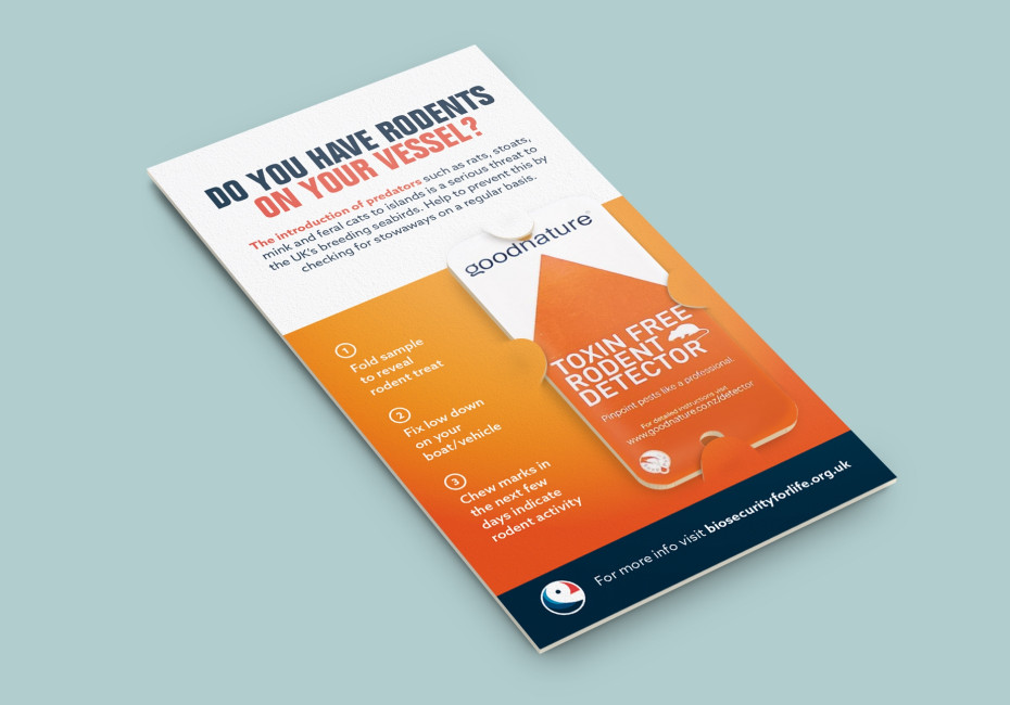 Rodent detector flyer design by Root Studio