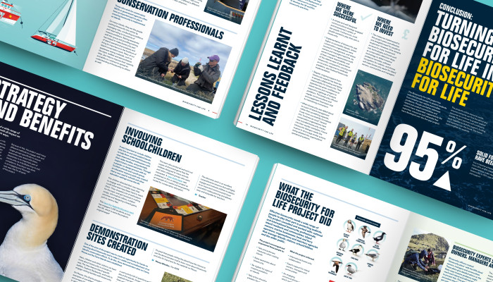 RSPB charity annual report design
