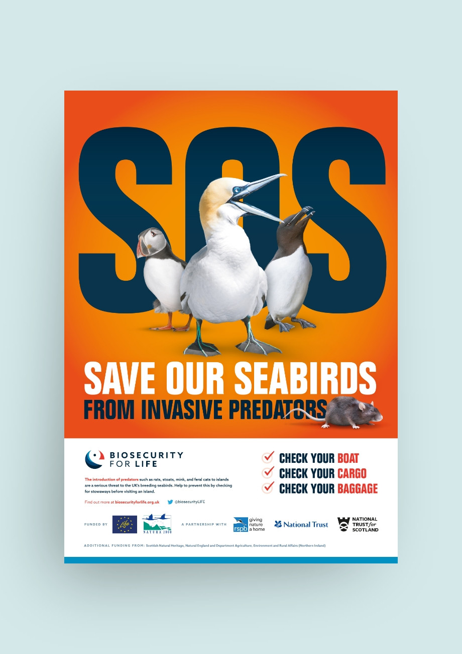 RSPB charity seabird protection marketing poster design by Root Studio