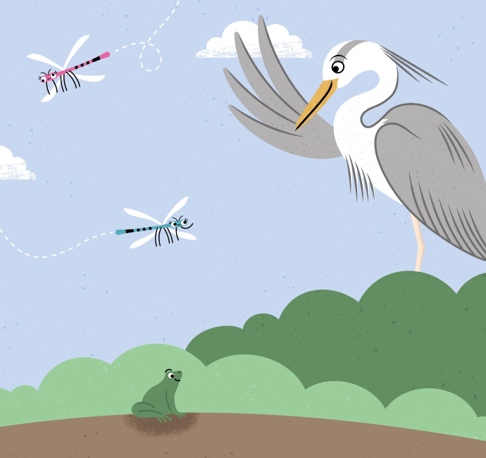 Heron illustration with dragonflies