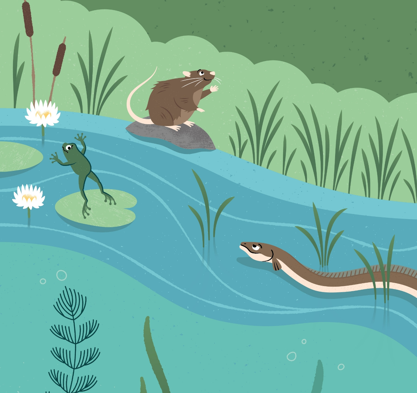 WWT charity wetlands habitat illustration