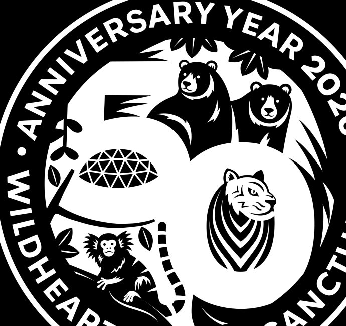 Wildheart Animal Sanctuary Zoo 50th anniversary logo design zoomed