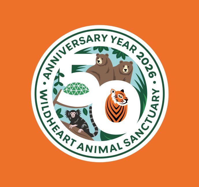 Wildheart Animal Sanctuary Zoo 50th anniversary logo design